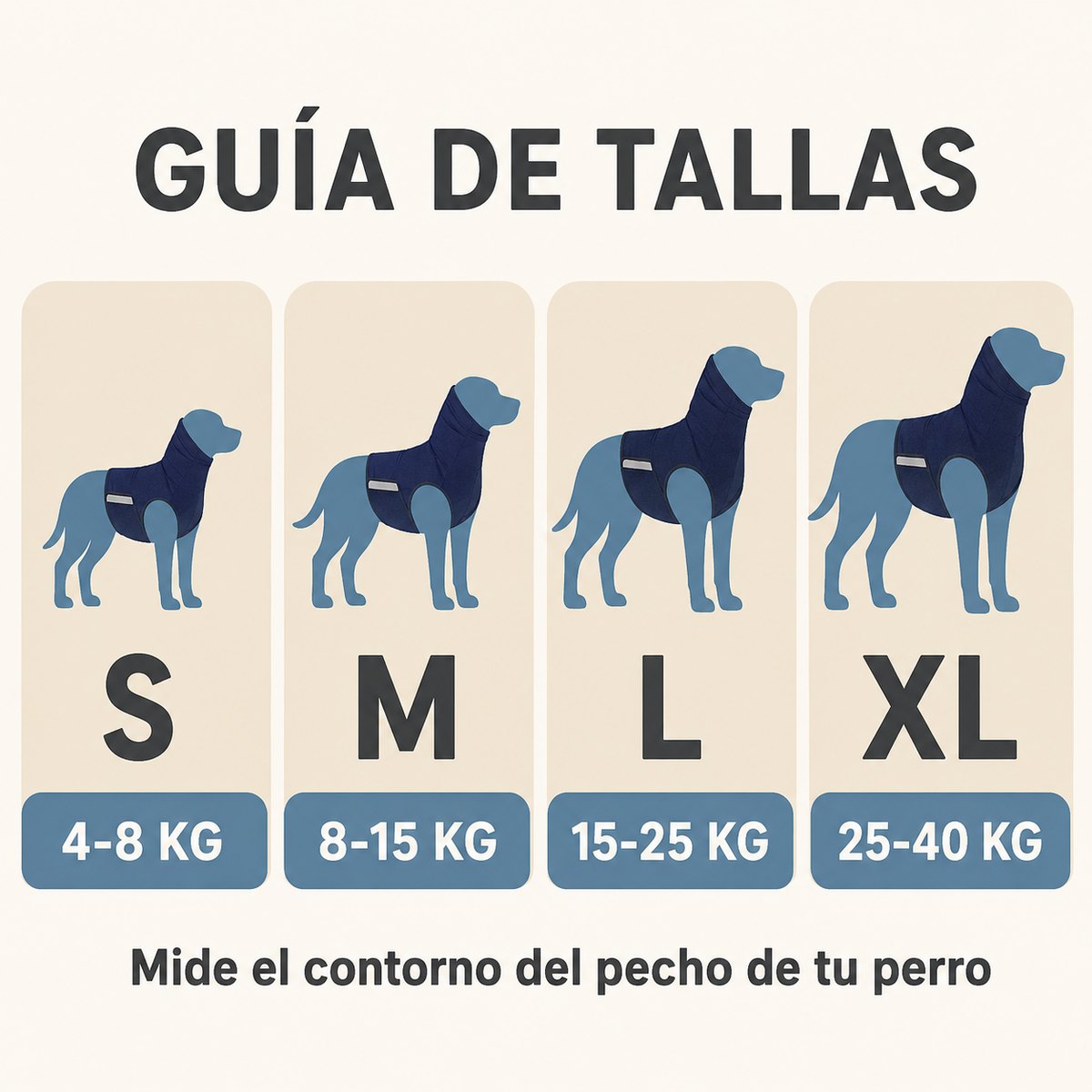 Guía de tallas CALMORA
